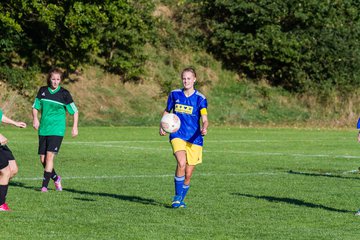 Bild 286 - Frauen TSV Gnutz - TuS Heidm�hlen : Ergebnis: 2:2